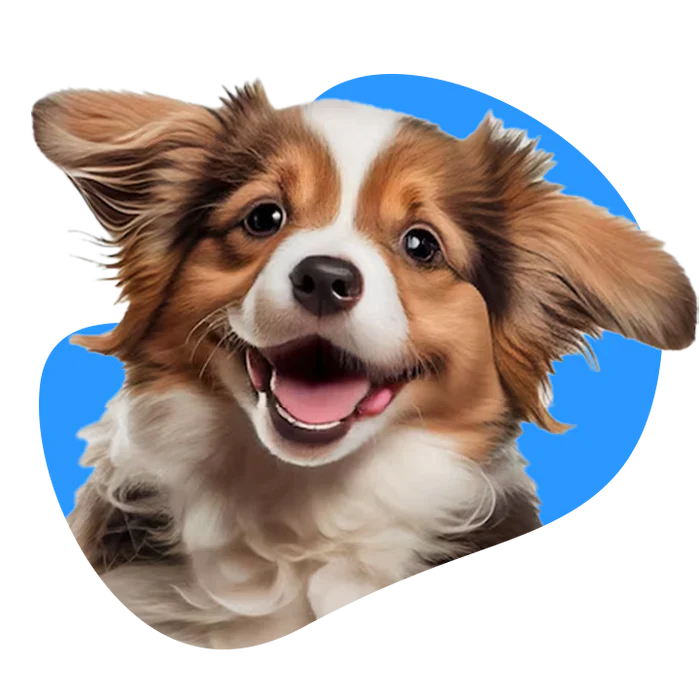 Mascotas