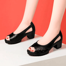 Sandalia Ortopédica Confort Style + Regalo Exclusivo! - Colibri Plaza